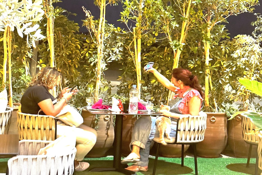 日落时分在阿加菲沙漠骑骆驼，在马拉喀什的 Chouf L'Or 餐厅享用晚餐