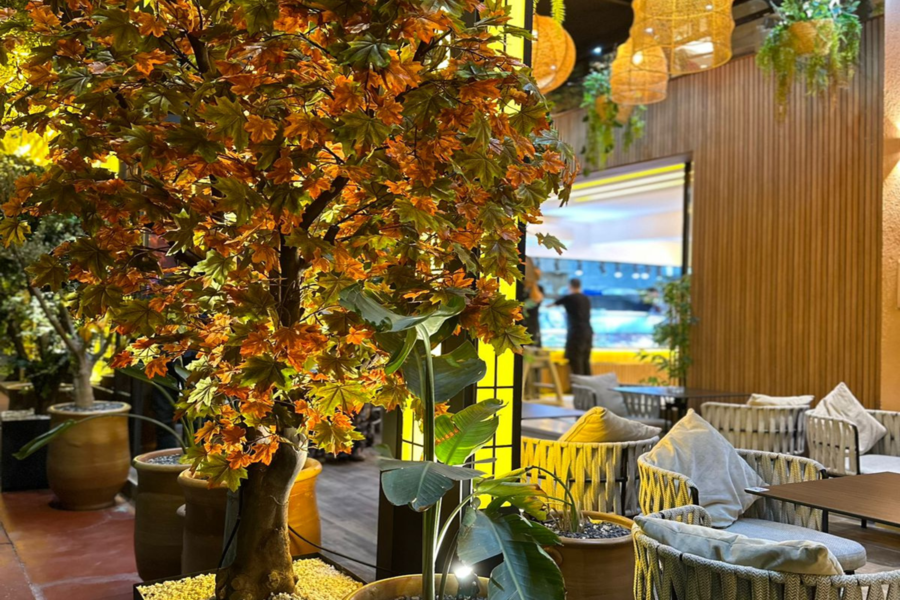 日落时分在阿加菲沙漠骑骆驼，在马拉喀什的 Chouf L'Or 餐厅享用晚餐