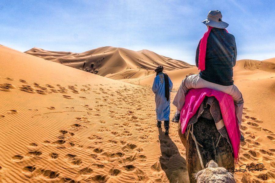 非斯沙漠之旅到马拉喀什5天