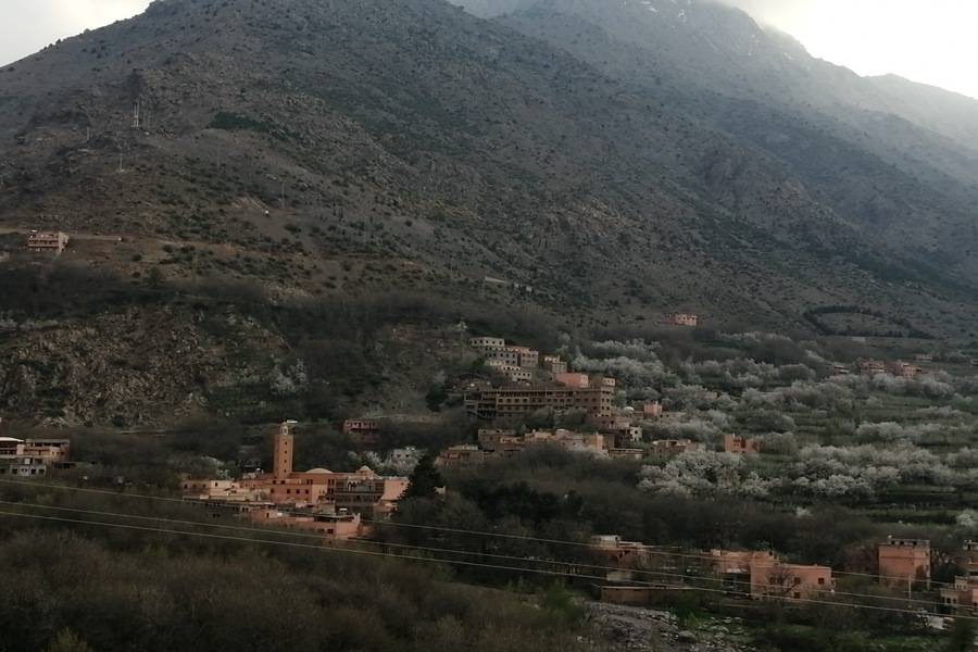 高阿特拉斯山 Imlil 与阿加菲沙漠的骆驼骑行和晚餐