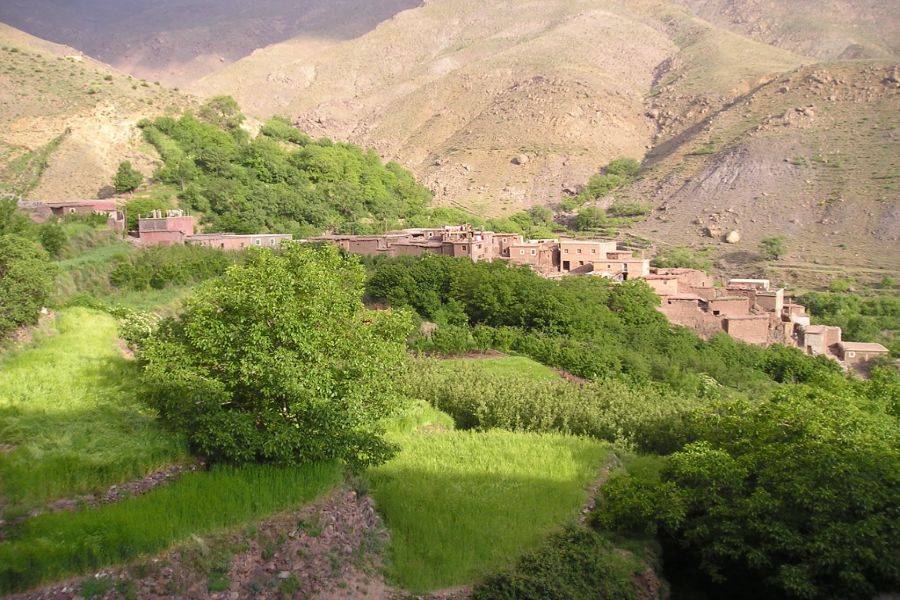高阿特拉斯山 Imlil 与阿加菲沙漠的骆驼骑行和晚餐