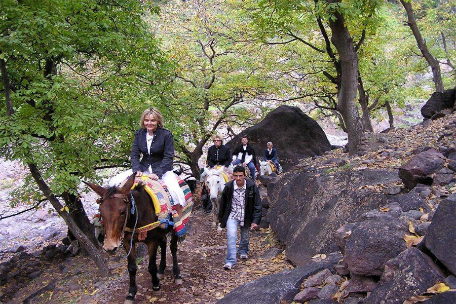 高阿特拉斯山 Imlil 与阿加菲沙漠的骆驼骑行和晚餐