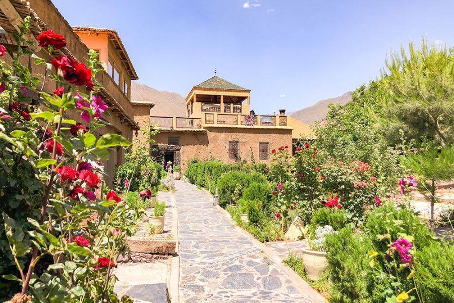 高阿特拉斯山 Imlil 与阿加菲沙漠的骆驼骑行和晚餐