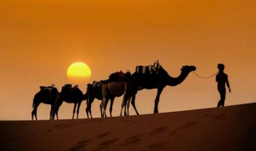 私人梅尔祖卡沙漠之旅 3 天